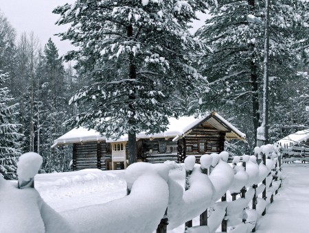 Trees Brown Wooden Cabin And Pathway Covered With Snow