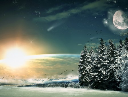 Snow Covered Trees Under Starry Sky During Sun Rise