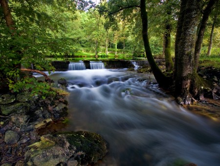 River Stream Through Trees In Timelapse Photography