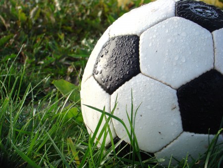 Soccer Ball In Grass