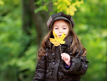 Toddler Girl Holding Yellow Leaf Near Trees
