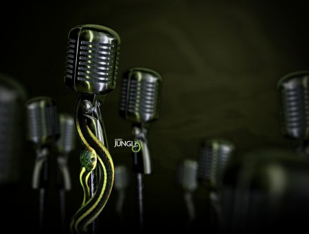 Selective Photo Of Silver Microphones
