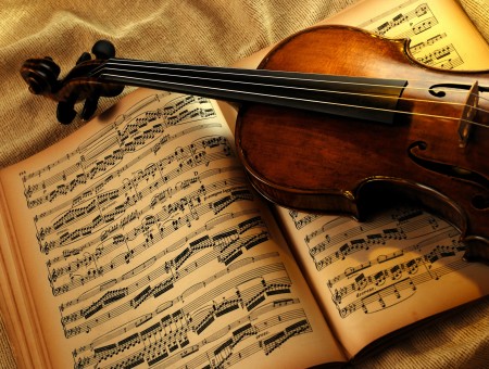Brown Violin