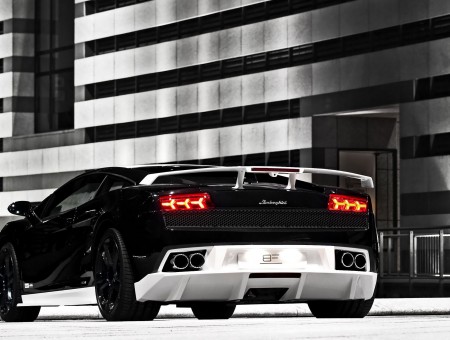 Black And White Lamborghini Sports Car