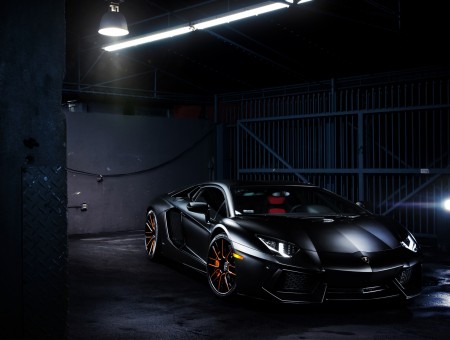 Black Lamborghini Aventador Display