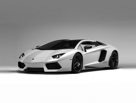 White Lamborghini Aventador Display