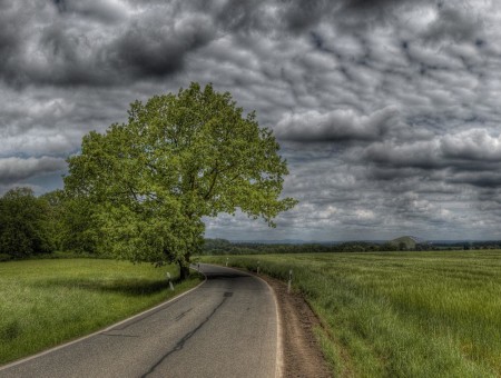 Black Top Road Between Green Grass Under Gray Sky During Day Time