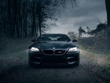 Black BMW On Dirt Road Surrounded With Trees Under A Gray Sky