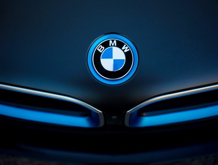 Blue And Black BMW Emblem