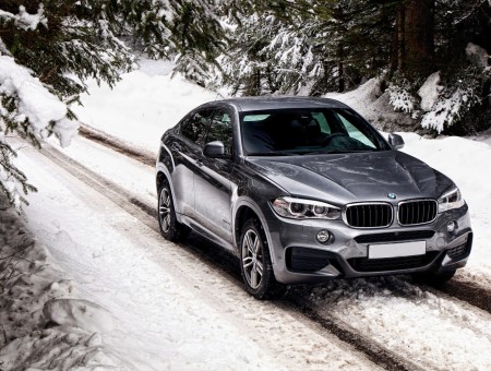 Grey BMW F16 Near Trees Covered With Snow