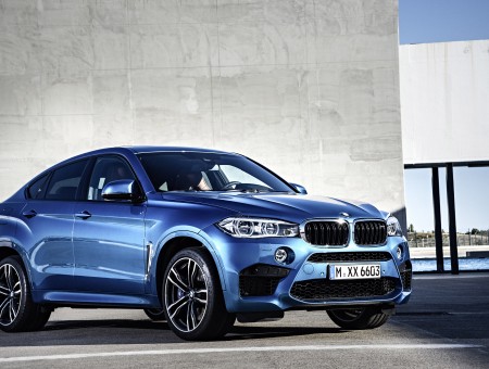Blue BMW X6