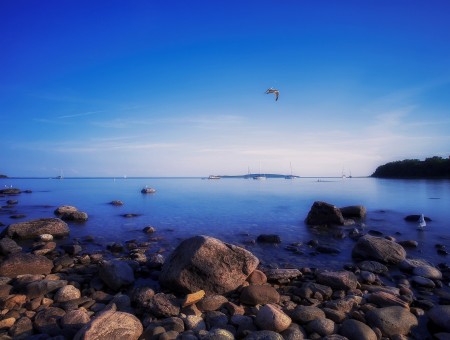 Clear Blue Sky Over Rocky Shore