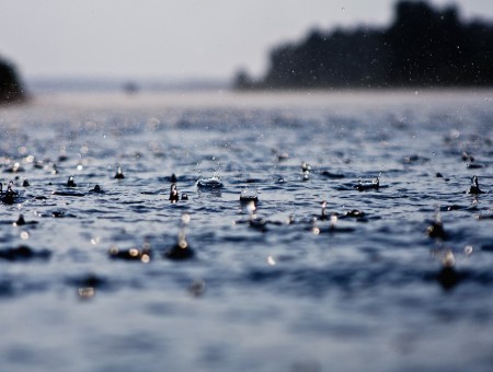 Raindrops On Body Of Water