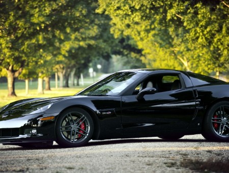 Black Sports Car On Road Between Green Trees During Daytime
