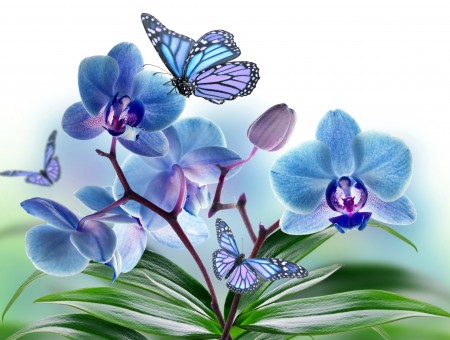 Blue Purple Butterfly Perched On Blue Petaled Flower