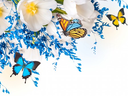 White And Blue Flowers With Butterflies