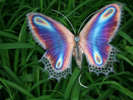 Blue White Purple And Brown Butterfly Staying On Green Grass