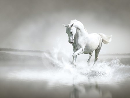 White Horse Running On Water