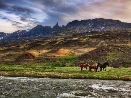 Horses Near Mountain Range