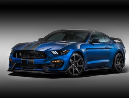 Blue Black Ford Mustang