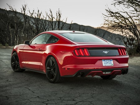 Backview Of Red Ford Mustang
