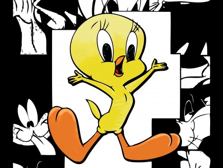 Tweety The Bird Looney Tunes