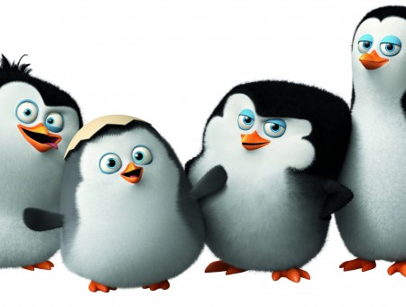 Baby Penguins Of Madagascar