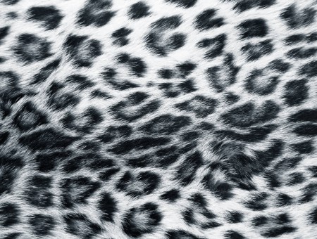 Black And White Leopard Fur