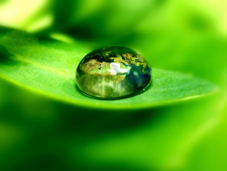 Water Droplet On Green Leaf