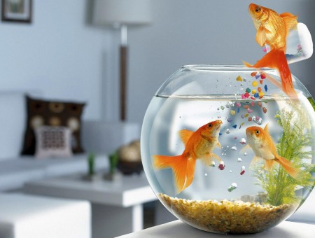 Clear Glass Fish Bowl With 3 Orange Gold Fish