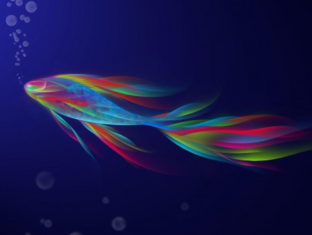 Rainbow Fish Illustration