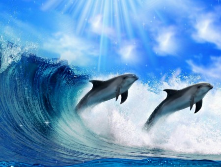 Gray Dolphins Illustration
