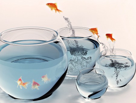 Clear Glass Bowls With Gold Fishes Jumps Over