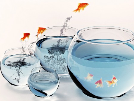 3 Fishes Jump Over Fish Bowl
