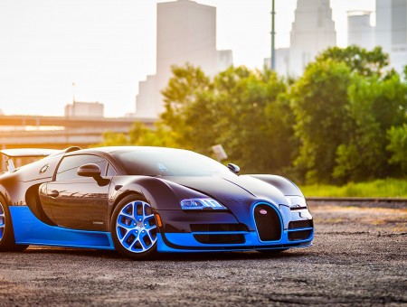 Black And Blue Bugatti Veyron