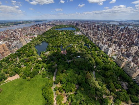 New York Central Park During Daytime