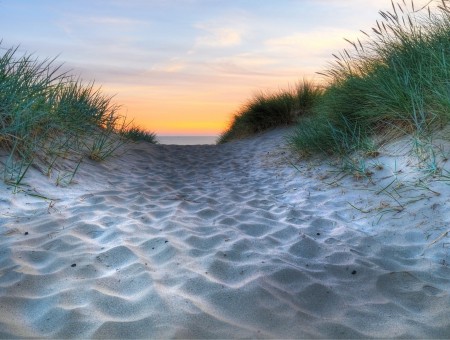 White Beach Sand And Green Grasses During Sunset