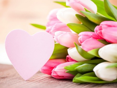 Close Photography Of Pink And White Tulip Bouquet Flower With Pink Heart