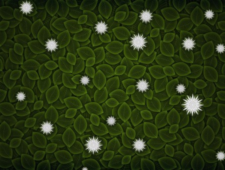 Green Leaves And White Spiky Ball Vector Illustration