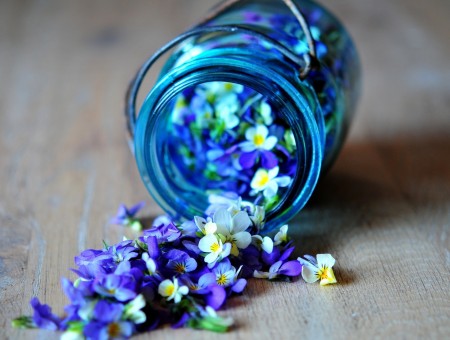 Purple And Yellow Flower Coming From Jar