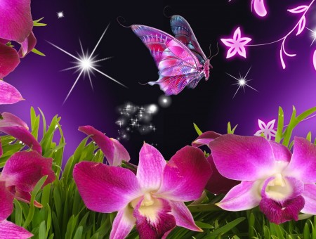 Blue And Pink Butterfly Vector Over Pink Orchids