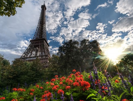 Eiffel Tower Near Green Trees And Purple And Red Flowers Under Sunny Cloudy Blue Sky During Daytime