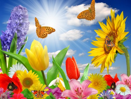 Yellow Red And Pink Flowers With 2 Yellow Butterflies Painting