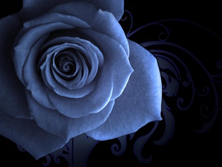 Grayscale Photography Of Rose Flower