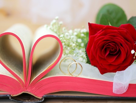 Red Rose And Gold Wedding Rings On Book Page