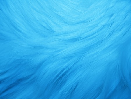 Wavy Blue Fur