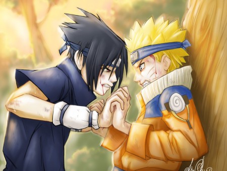 Uzumaki Naruto And Uchiha Sasuke Facing Each Other