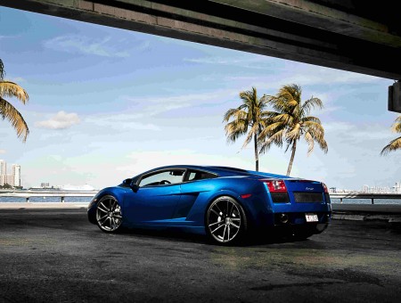 Blue Sports Car On River Side Surrounded With Palm Trees During Daytime