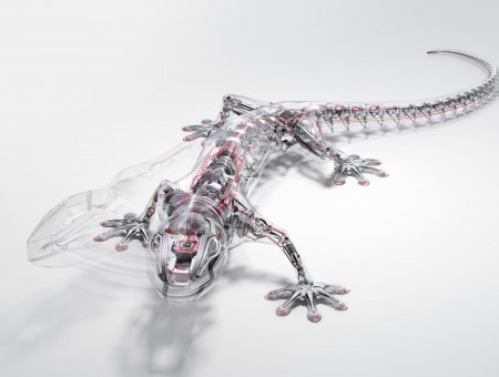 Edited Photo Of A Silver Crawling Reptile