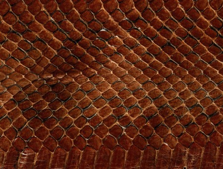 Brown Textile